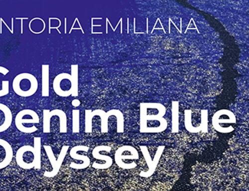 THE STYLE LIFT GAZETTE | Tintoria Emiliana | Gold Denim Blue Odyssey